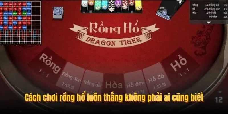 Các loại cược trong rồng hổ